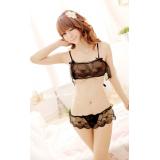 Sexy Lingerie Set