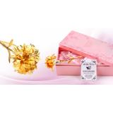 24K Gold Mother's Day Carnation